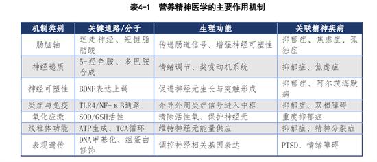 2026白皮书发布：营养干预精神治疗，从边缘走向中心 