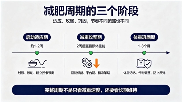 拒绝单一产品减脂误区，看多燕瘦七日膳食如何匹配减重全周期需求