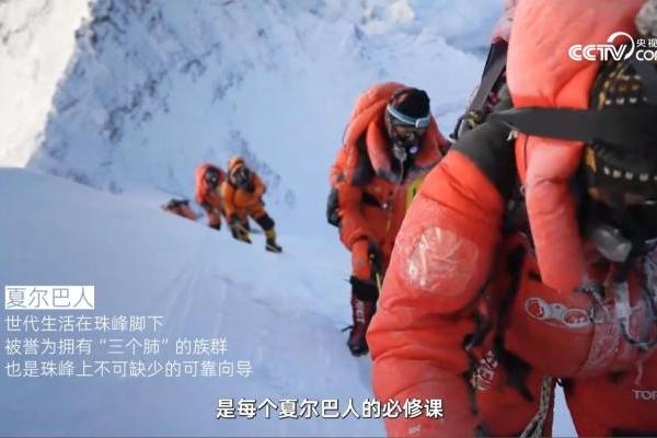 特护不止于营销口号：从蝴蝶宝贝特护计划看松达的产品向善之路 
