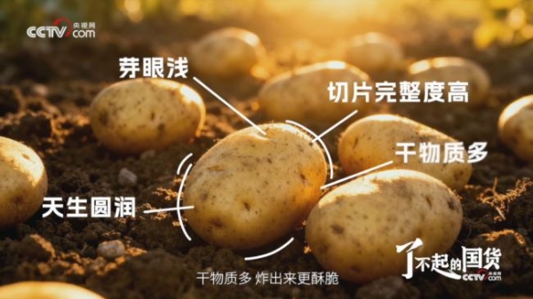 从“国民薯片”到透明工厂：央视镜头验证可比克全链路品质 