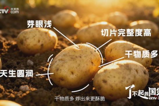 从“国民薯片”到透明工厂：央视镜头验证可比克全链路品质 