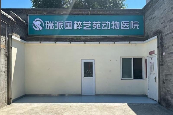 对话瑞派宠物医生：三重身份深耕“冷门赛道”，十余年专注宠物口腔健康 