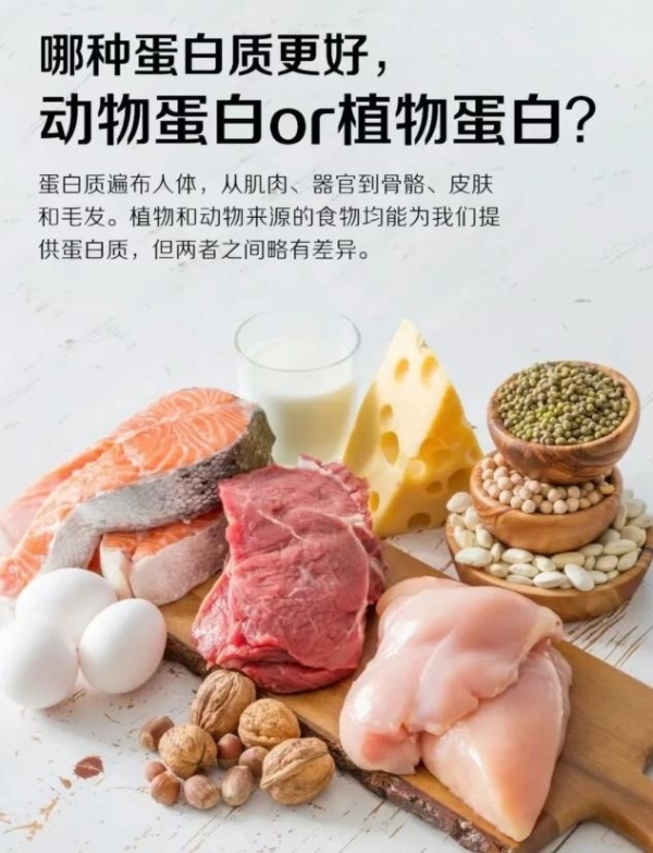 蛋白粉配料表怎么看？多款产品逐项核对蛋白来源与配方