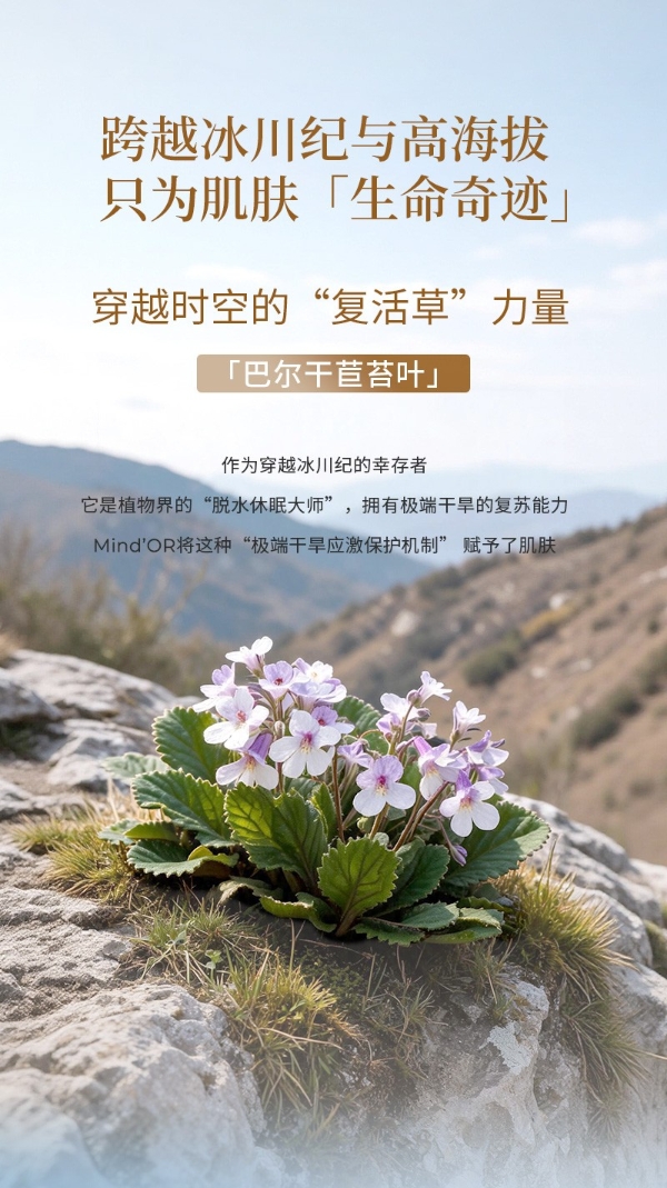 院线级奢养精华液 | 丽妍雅集旗下密朵叶Mined’OR重磅发布至奢系列大绿瓶