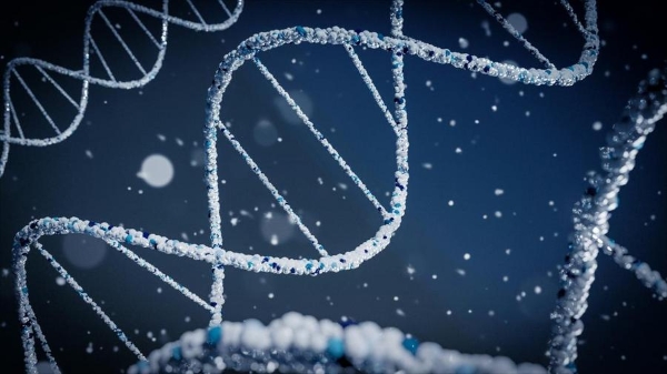 生物申博如何释放科研潜力？先理知学REAL PhD助学员获阿德莱德大学全奖博士录取
