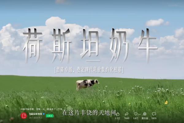 从北纬45°到一罐奶粉：金领冠如何讲好中国奶源的故事 