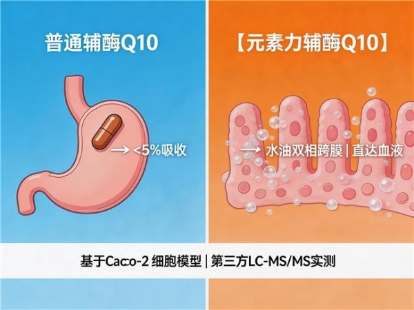 2026辅酶Q10高含量品牌比较 高毫克数怎么选 