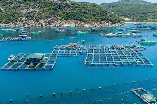 KLC Seafood强化在华市场布局，提升越南高端鲜活海鲜价值 