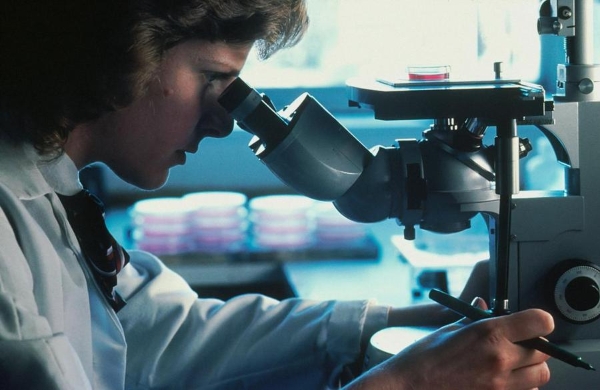 先理知学REAL PhD服务解析：交叉理工申博，实操经历转化为博士申请竞争优势 