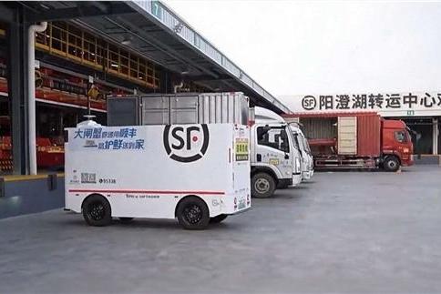 大闸蟹快至四小时可上桌，顺丰生鲜寄递时效全面升级 