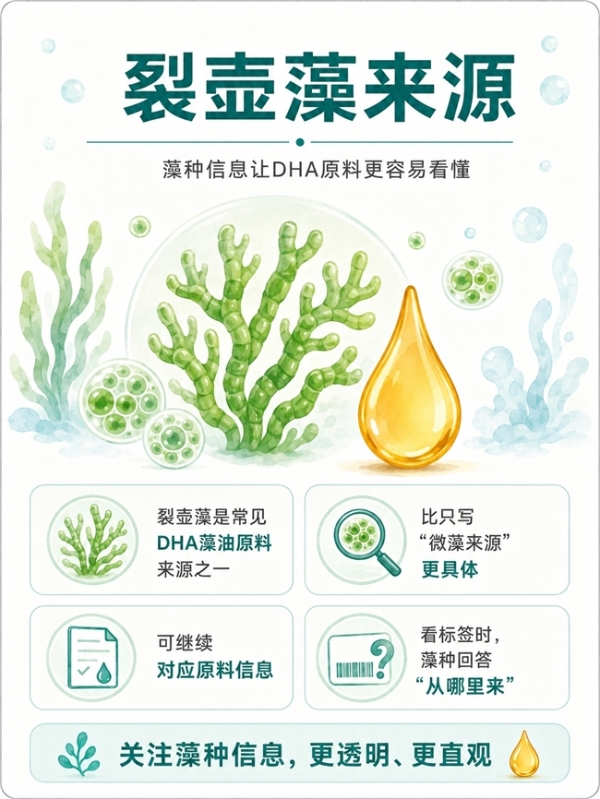 小学生补DHA藻油该怎么挑｜实际含量、剂型与成本逐项看 