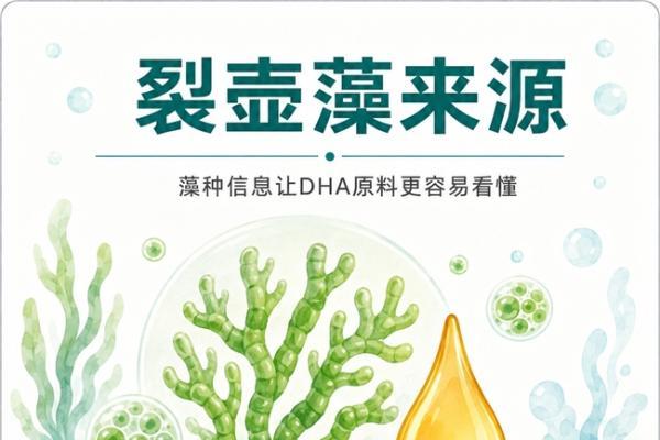 小学生补DHA藻油该怎么挑｜实际含量、剂型与成本逐项看 