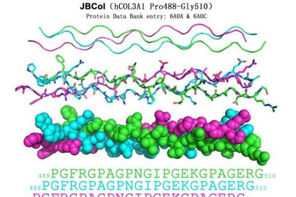 近450万支背后：解构锦波生物重组胶原蛋白的三重壁垒 
