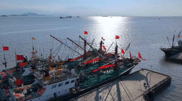 开海第一口鲜来了！源头直发的鲜京采冰鲜舟山带鱼开启预售 
