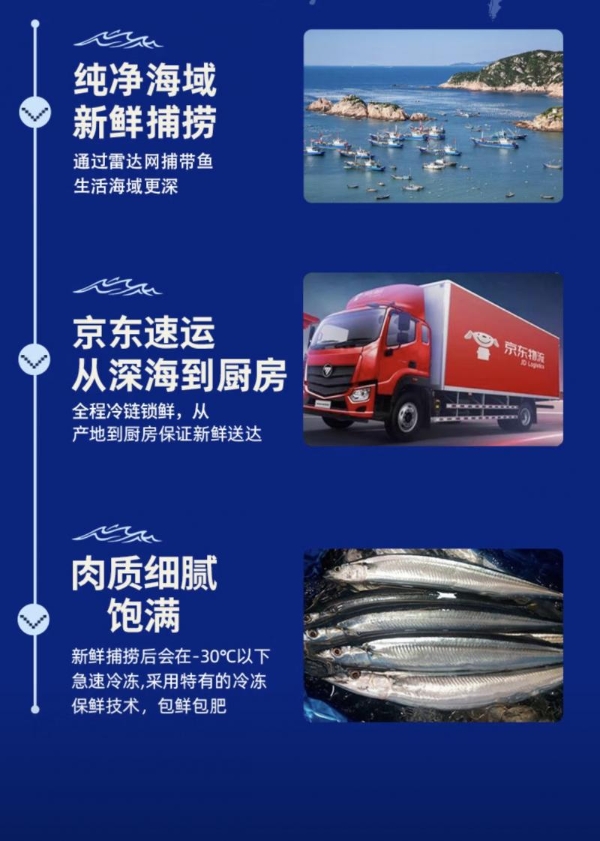开海第一口鲜来了！源头直发的鲜京采冰鲜舟山带鱼开启预售 