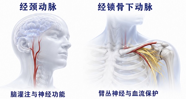 球扩SAFE丨不同手术类型的器械要求：术前该备什么？ 