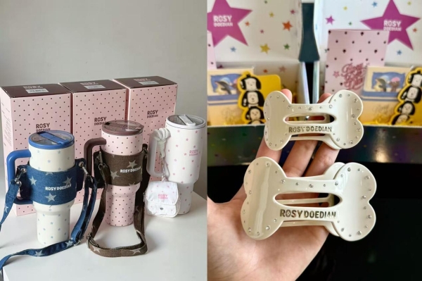 赵露思破局：ROSYDOEDIAN一年跑出明星品牌新范式 