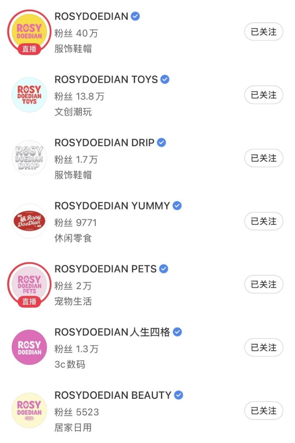 赵露思破局：ROSYDOEDIAN一年跑出明星品牌新范式 