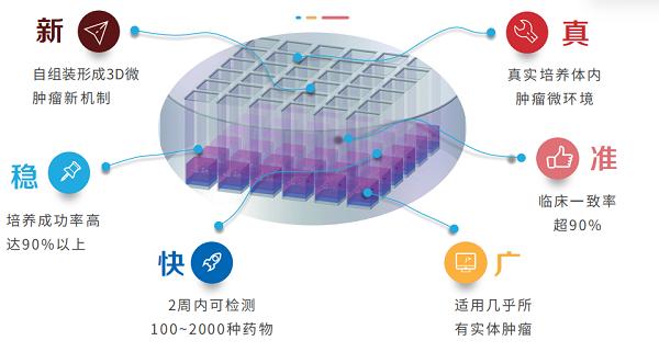 政策东风已至丨类器官药敏纳入医保立项指南！微肿瘤PTC全国合作伙伴招募启动 