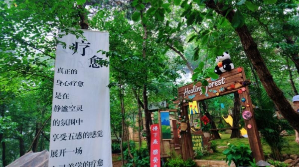 登高龟蒙共赴福寿山河之旅 沂蒙山龟蒙景区秋日系列活动正式启幕 