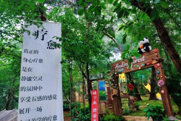 登高龟蒙共赴福寿山河之旅 沂蒙山龟蒙景区秋日系列活动正式启幕 