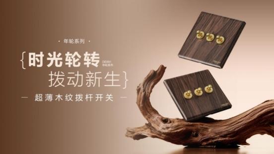 方寸意东方，开合见人居｜德力西电气开关上的东方美学 