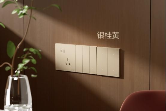 秋季家装正当时，德力西CD295F智能开关的智能焕新体验 