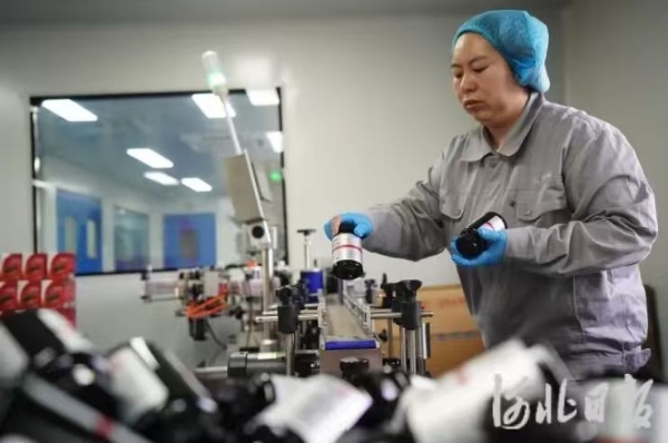 百德福：深耕小分子肽，只为国民好体质 
