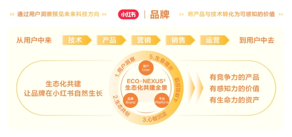 小红书生态化共建｜当普通人的拍照难题，走进华为研发室 