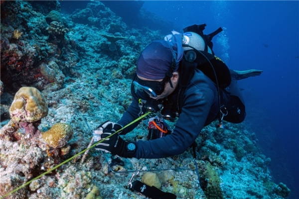 海洋生命蓬勃绽放：马尔代夫客丝路度假胜地获得OECM海洋保护认定 