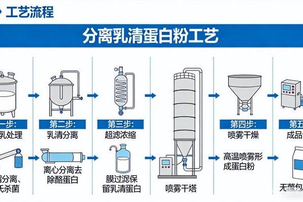 分离乳清蛋白粉品牌推荐：高含量之外还应看什么 