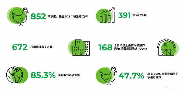 新恒昌探索非笼养殖蛋品新路径