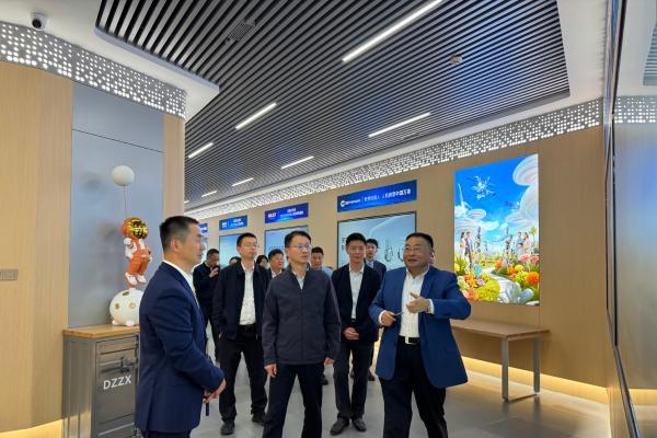 安徽省芜湖市市委书记徐志一行参观考察民银国际 何帮喜董事长陪同 