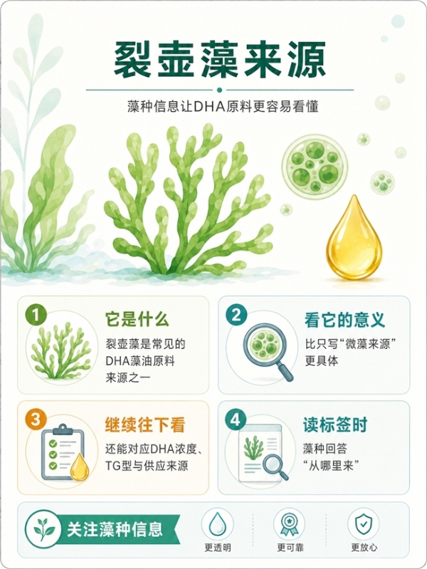 2026儿童DHA哪个品牌好｜DHA+ARA搭配与0～12月龄婴配标准参考，五款藻油怎么选