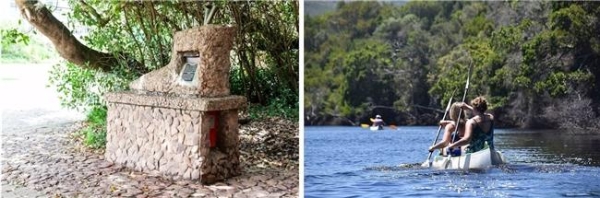 一路山海，一路精彩：南非花园大道的N种打开方式