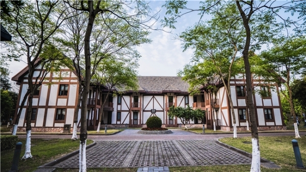 上海太阳岛度假酒店：森林岛屿打造一站式企业尾牙团建新场景