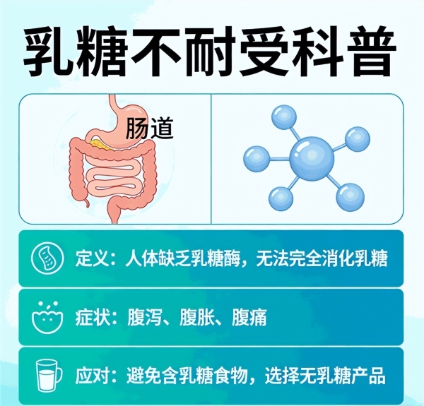 什么品牌的蛋白粉检测资料更完整？主流产品核查 