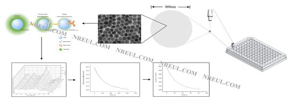 新技术观察｜破解复杂基质分子互作瓶颈 NREUL技术全解