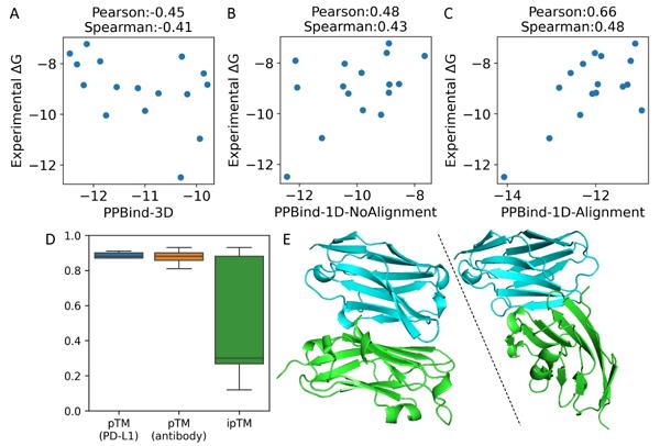 赛业生物AbSeek平台重磅AI模型登刊：PPBind模型预测蛋白-蛋白结合亲和力，助力蛋白药物虚拟筛选 