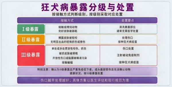 狂犬病疫苗接种要点：尽早启动、全程接种