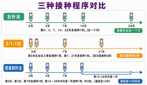 狂犬病疫苗接种要点：尽早启动、全程接种