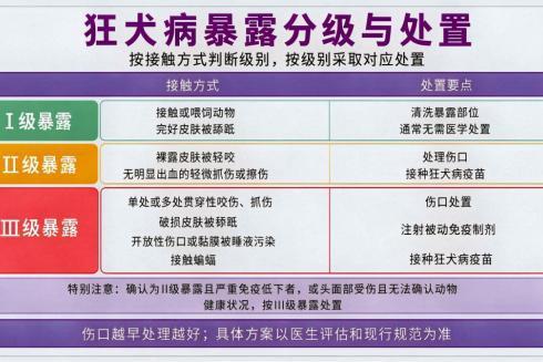 走出狂犬病疫苗选择焦虑：认清“简易四针法”与“无血清工艺”
