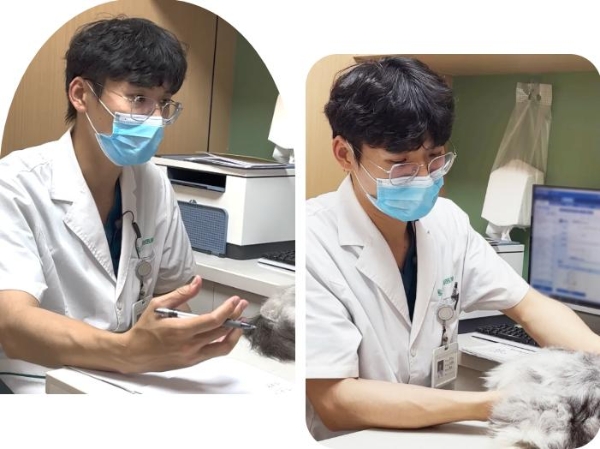 对话瑞派宠物医生：诊室里的双重“功课”，沉淀出落在每个细节里的用心 