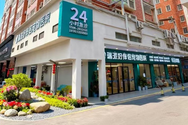 对话瑞派宠物医生：诊室里的双重“功课”，沉淀出落在每个细节里的用心 