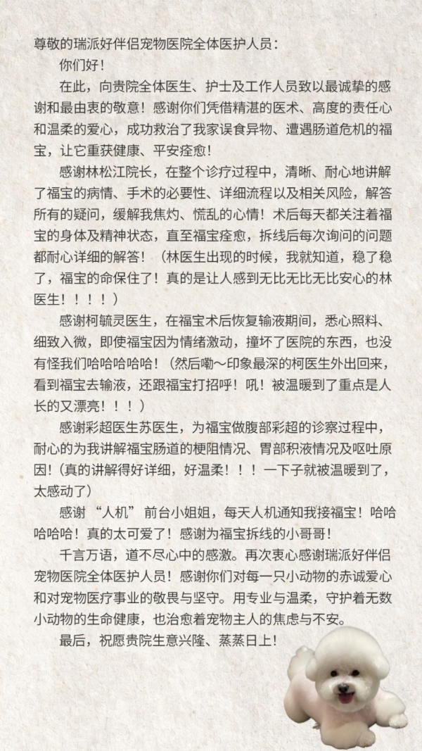 对话瑞派宠物医生：诊室里的双重“功课”，沉淀出落在每个细节里的用心 