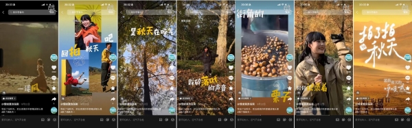 当代年轻人，如何借镜头在秋天完成一场情绪换气？ 