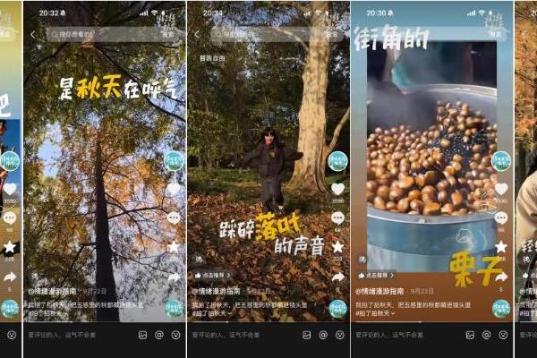 当代年轻人，如何借镜头在秋天完成一场情绪换气？ 
