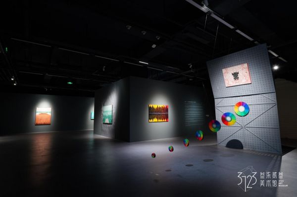 盖亚——王海龙个展 在上海叁柒贰叁美术馆开幕 