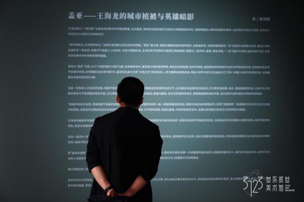 盖亚——王海龙个展 在上海叁柒贰叁美术馆开幕 