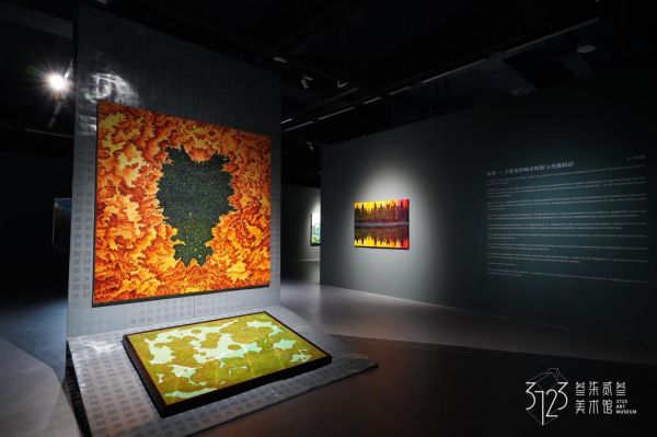 盖亚——王海龙个展 在上海叁柒贰叁美术馆开幕 